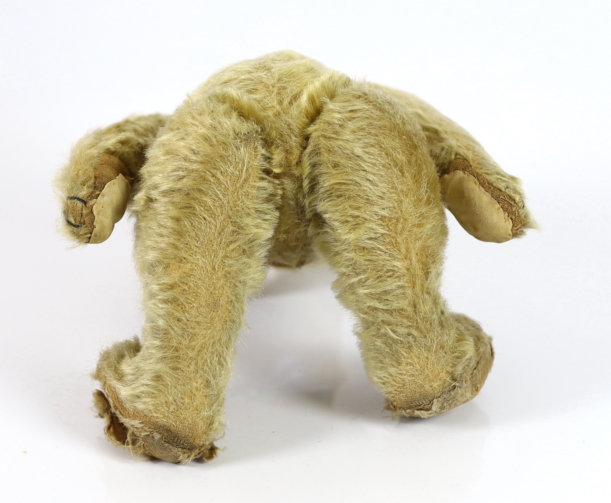 A Farnell bear, c.1912, 33cm, bear paw pads restored, hair loss to stomach